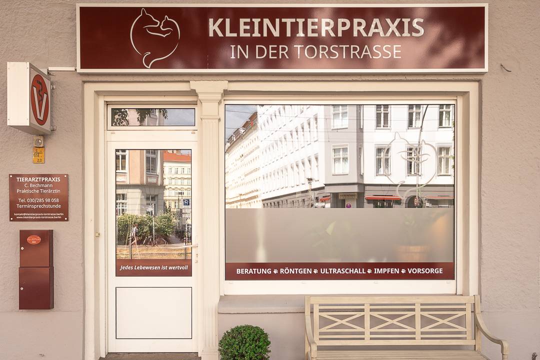 Christin Bechmann - Kleintierpraxis in der Torstrasse
