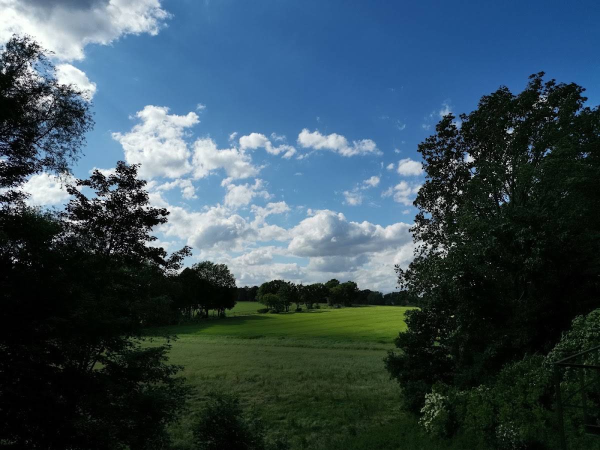Hundefreilauf an der Stiftsmühle