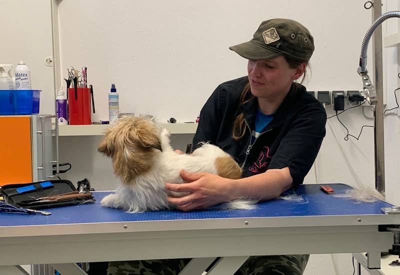Hundesalon Fein Gemacht / Hundefriseur