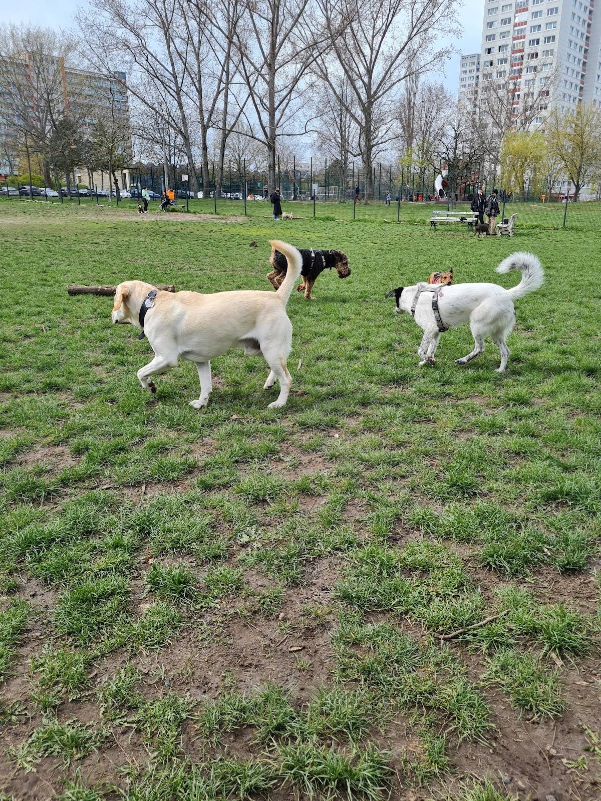 Hundeauslaufplatz Fennpfuhl