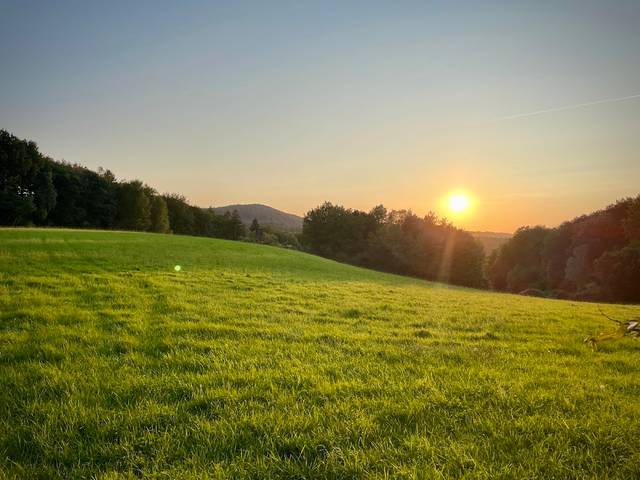 Naturschutzgebiet Schlepperwiese
