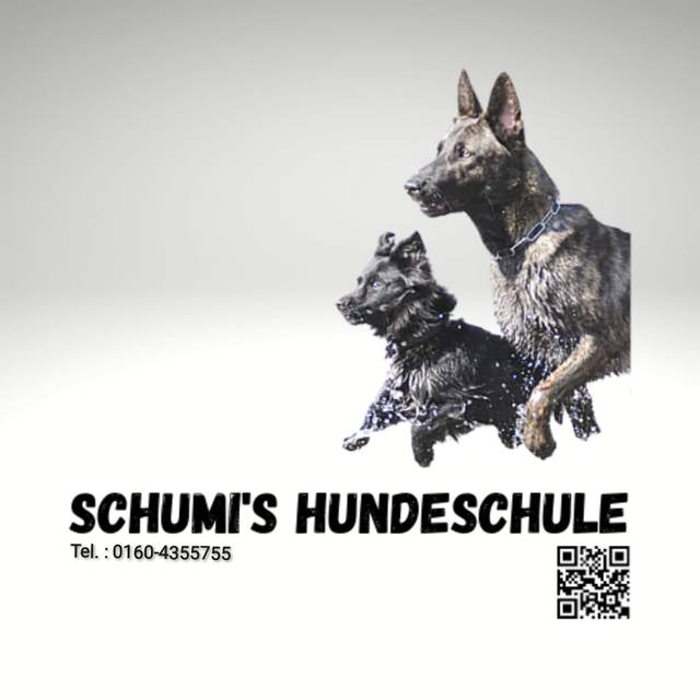 Schumis-Hundeschule