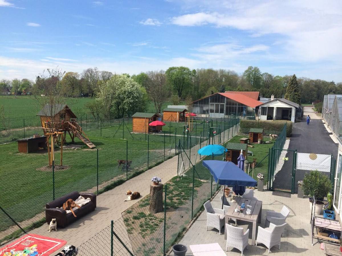 Hundepension am Birkensee
