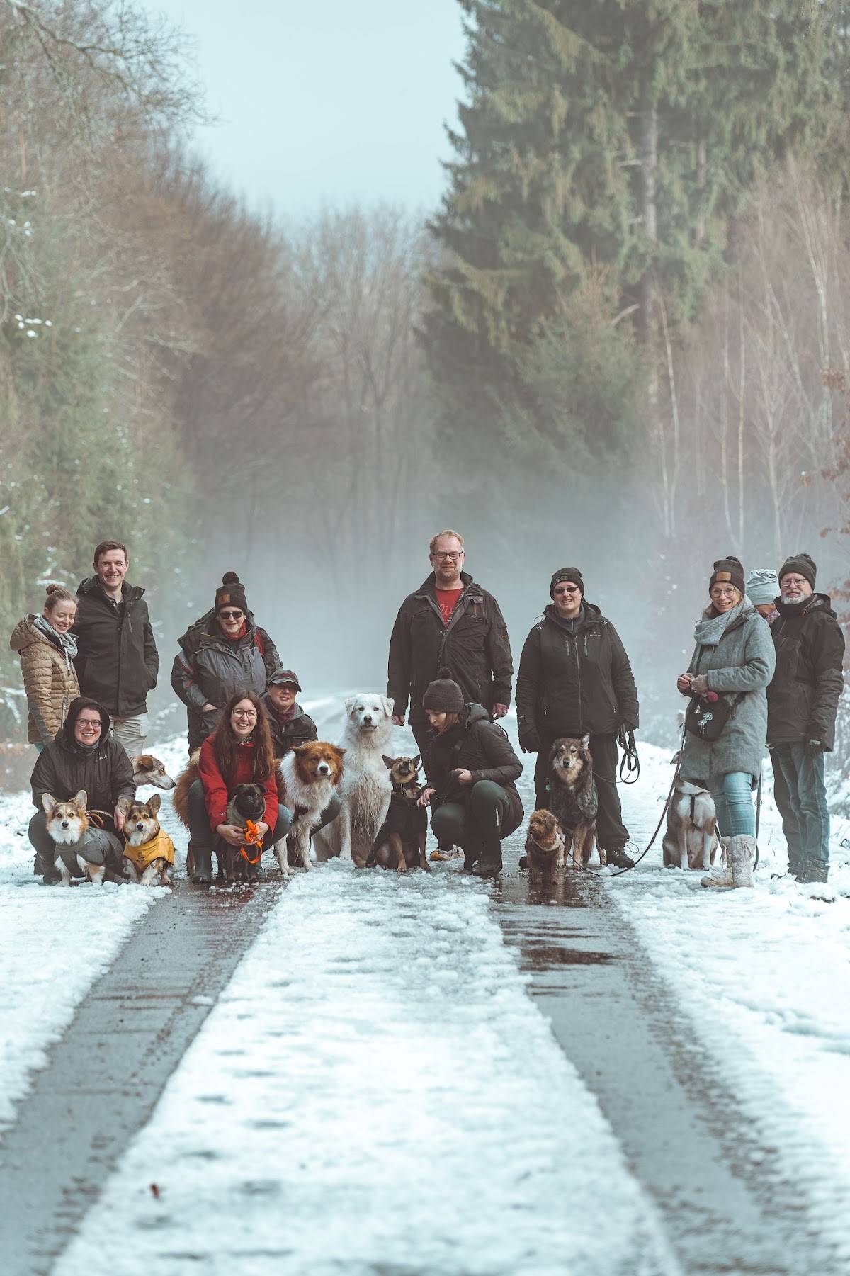 DogSquad – Hundeschule Köln