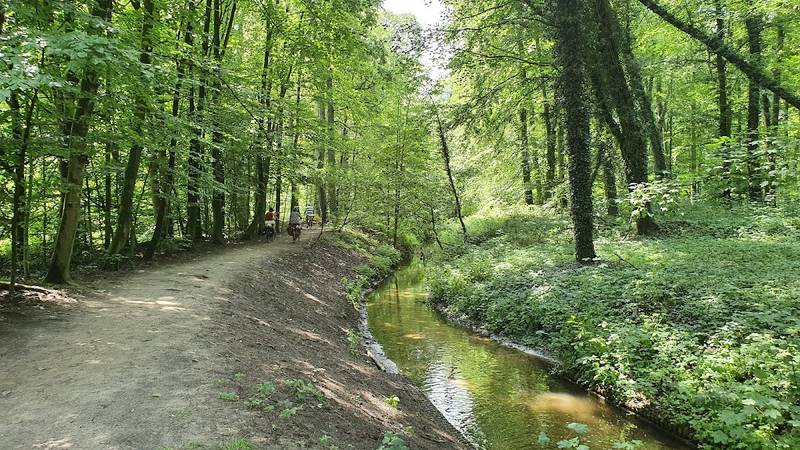 Tatenhauser Wald