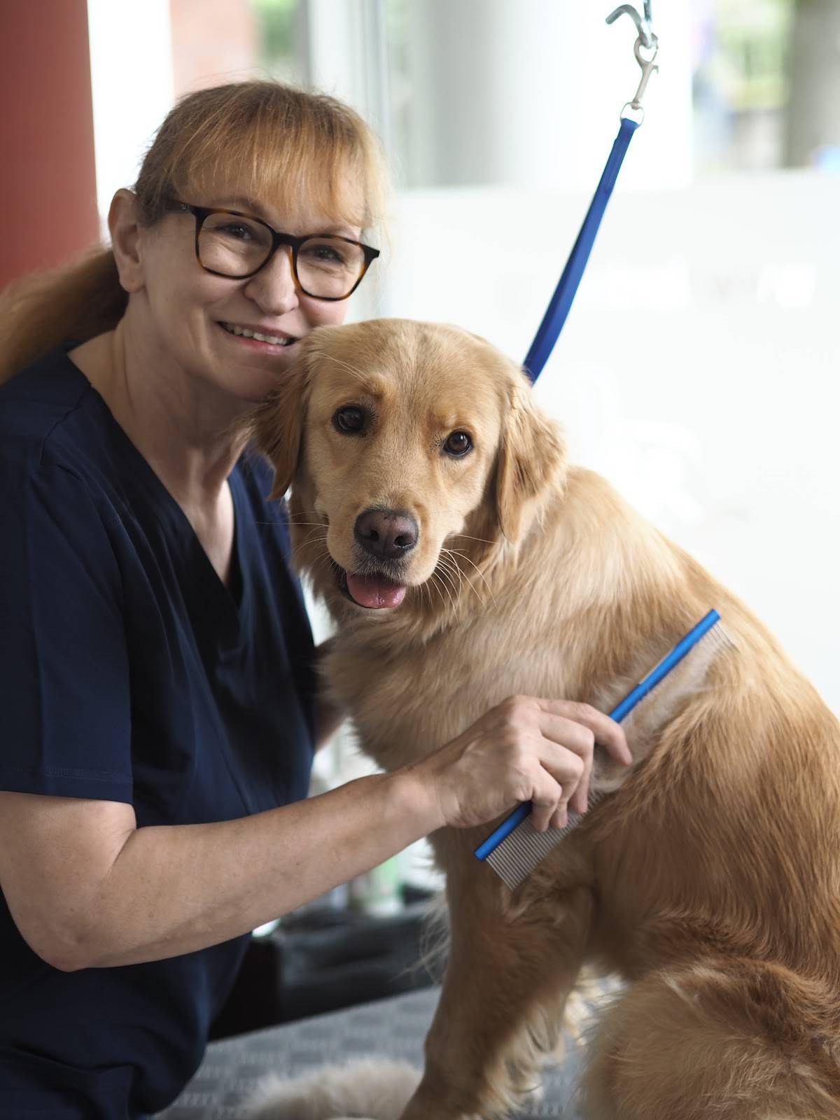 Hundesalon Oberkassel