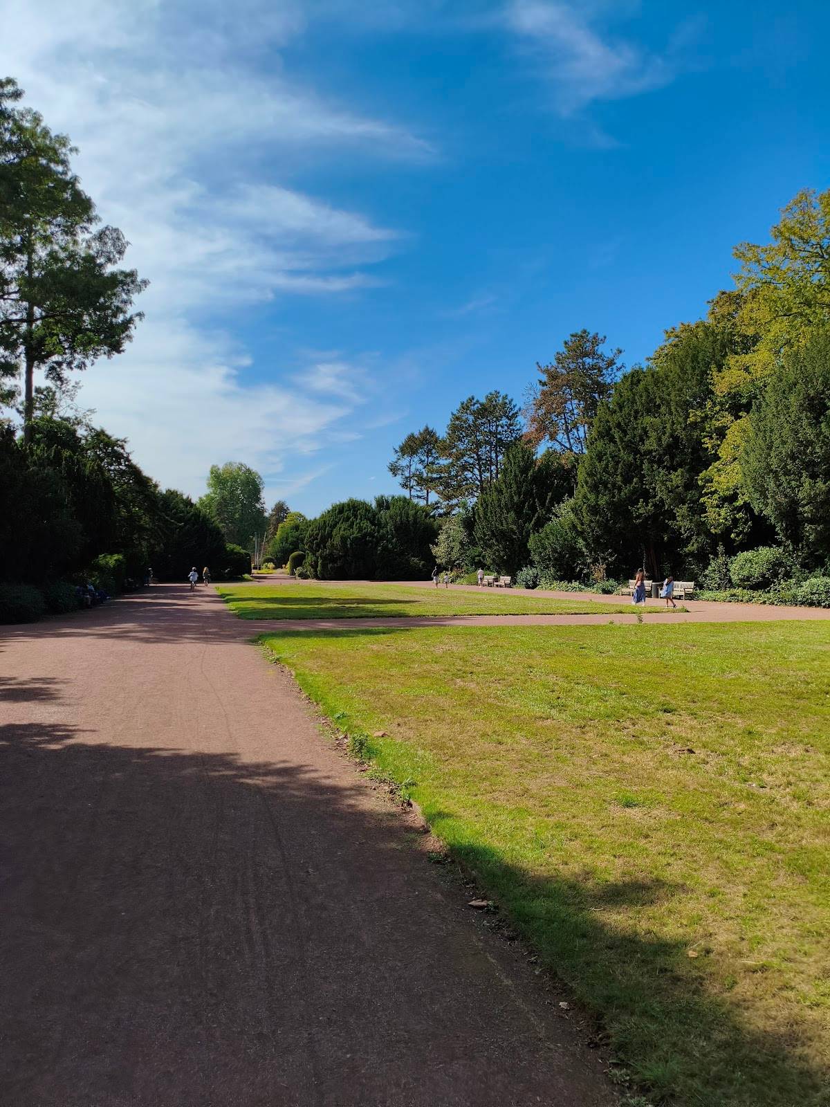 Hundewiese Nordpark
