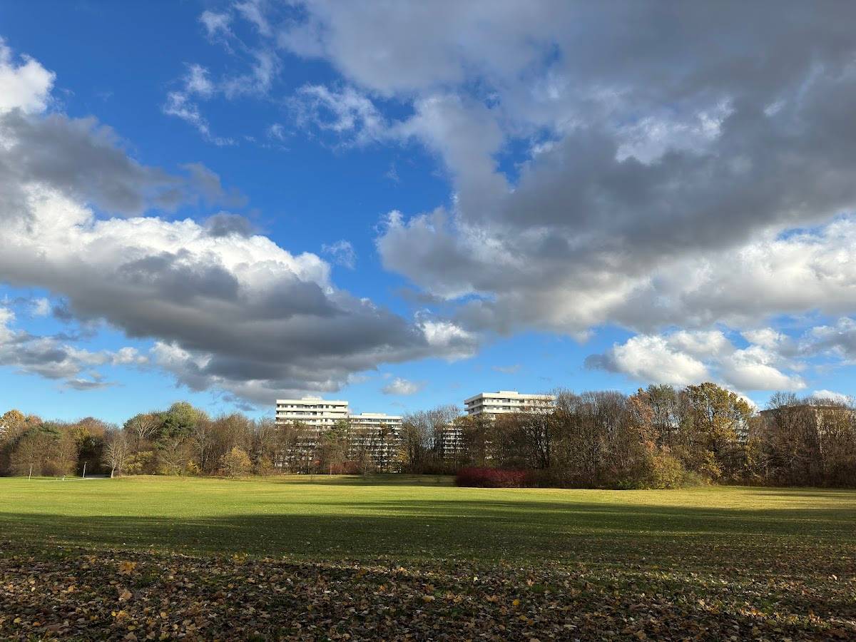 Hundewiese Ostpark