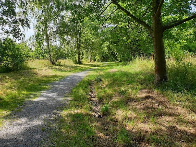 Stadtpark Blomberg