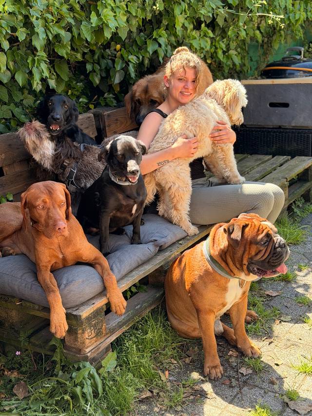 DogPack Düsseldorf