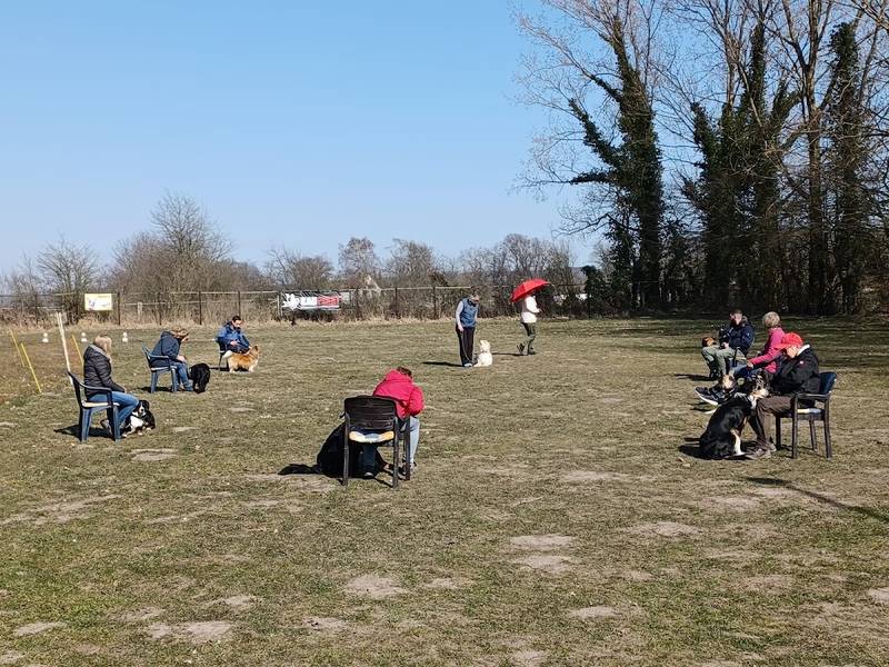 Hundefreunde Schlangen