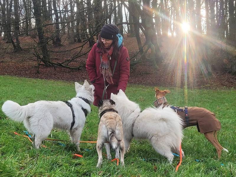 Hundepension Bielefeld
