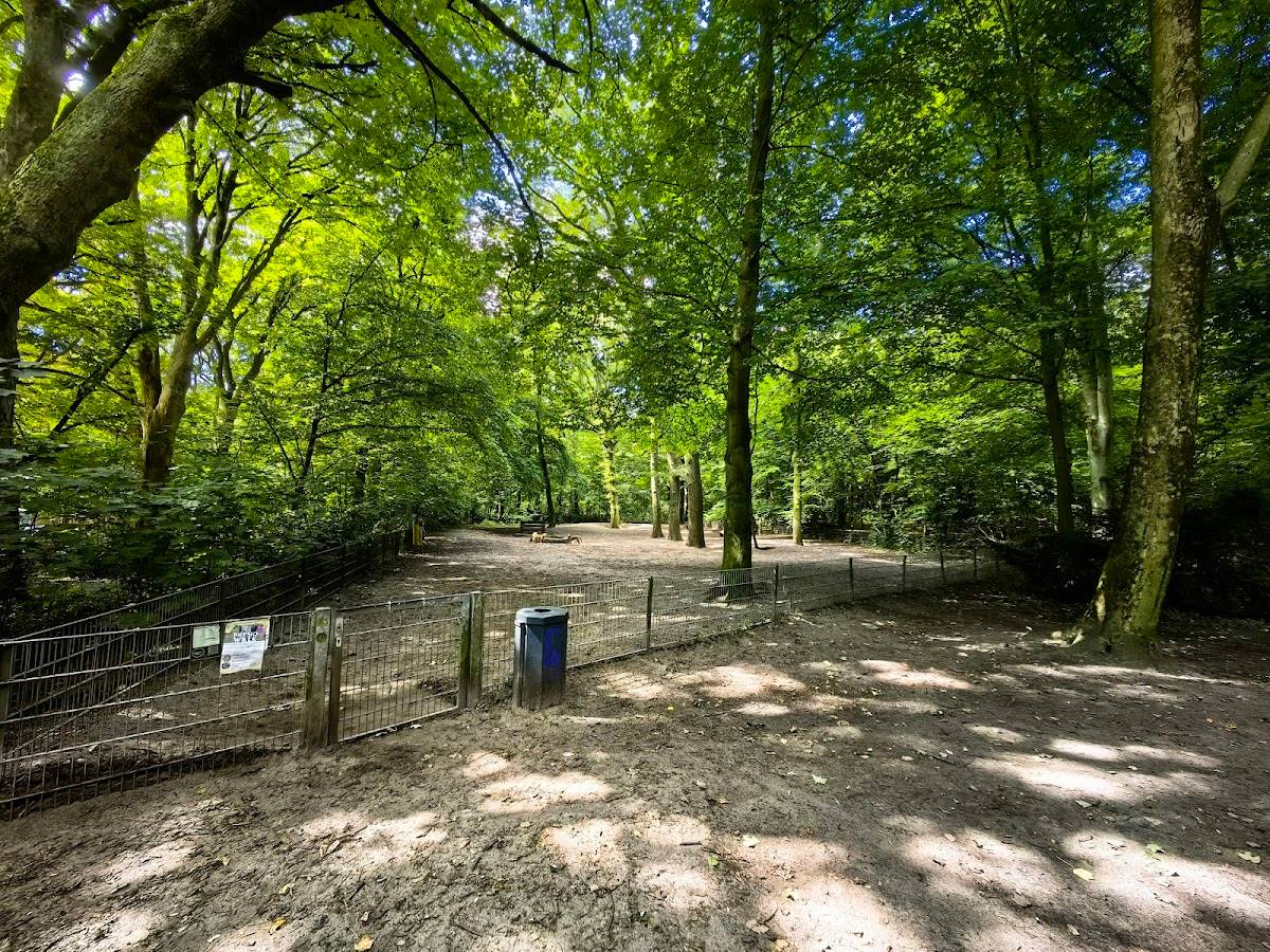 Hundeauslaufzone