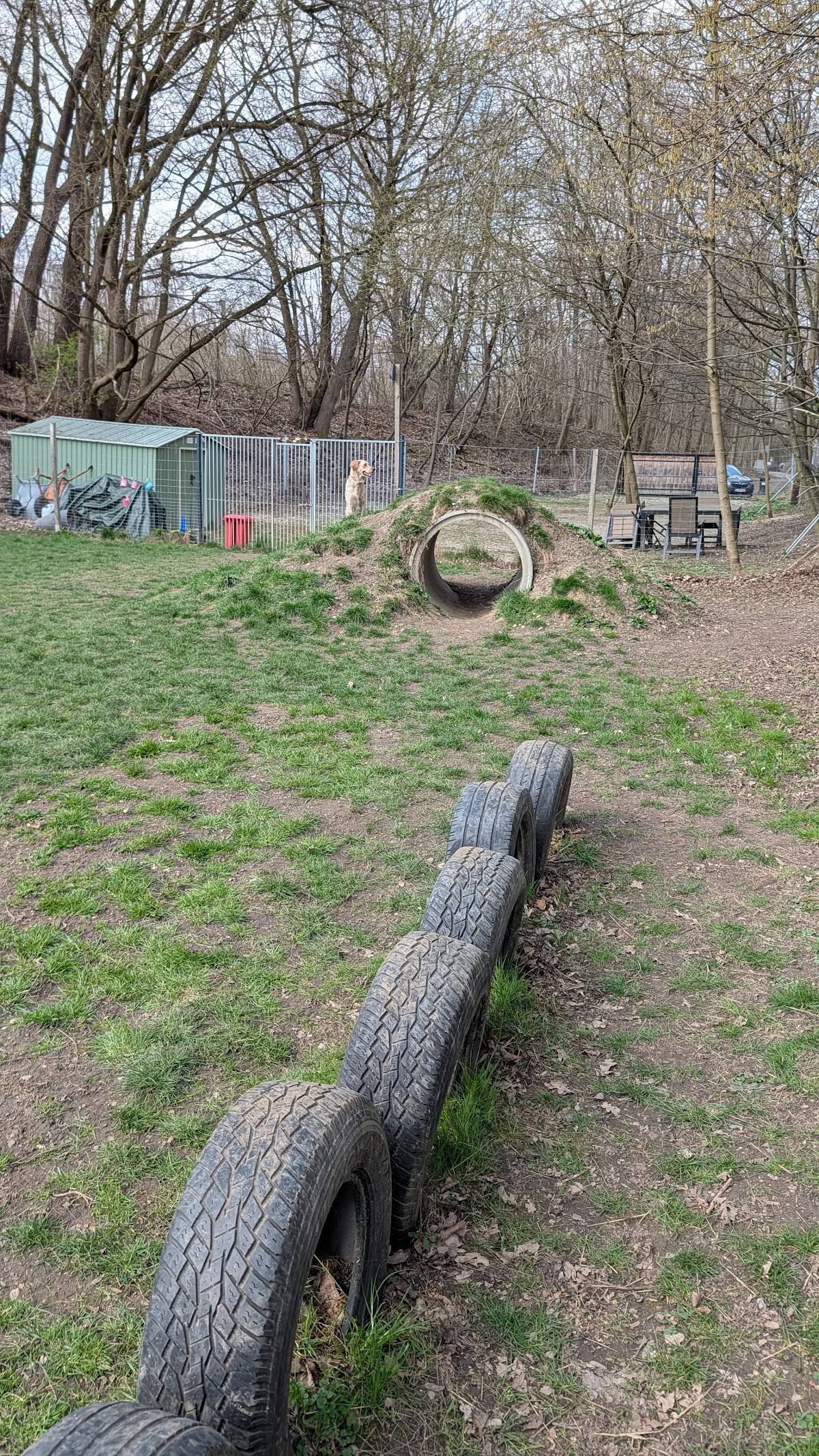 DOGGES Hundespielwiese