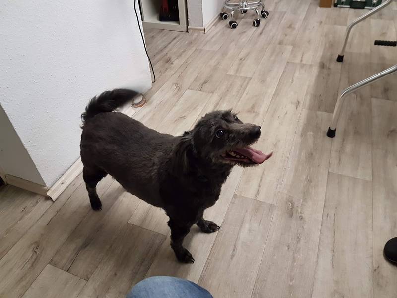 Hundesalon Marquardt